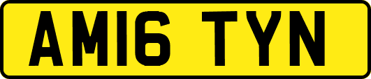AM16TYN
