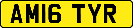 AM16TYR