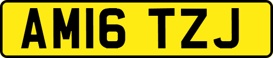 AM16TZJ