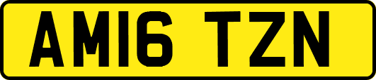 AM16TZN