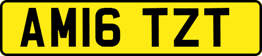 AM16TZT