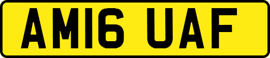 AM16UAF