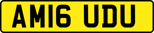 AM16UDU