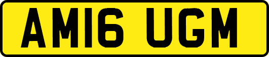 AM16UGM