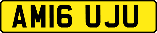 AM16UJU