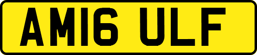 AM16ULF