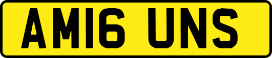AM16UNS
