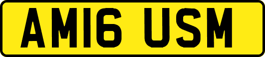 AM16USM