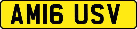 AM16USV