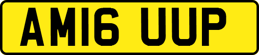 AM16UUP