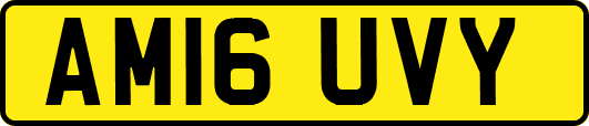 AM16UVY