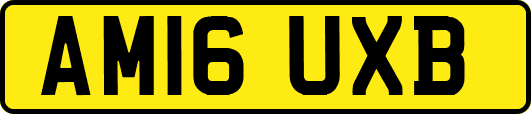 AM16UXB