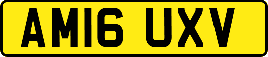 AM16UXV