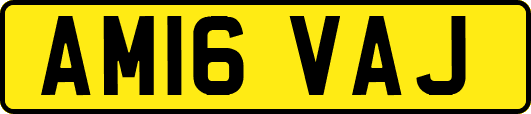 AM16VAJ
