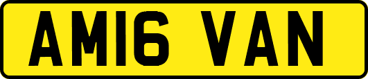 AM16VAN