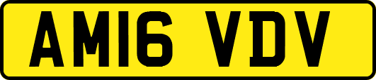 AM16VDV