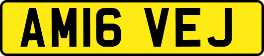 AM16VEJ