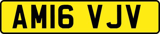 AM16VJV