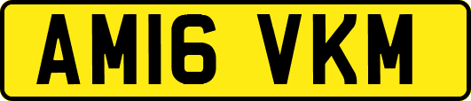 AM16VKM