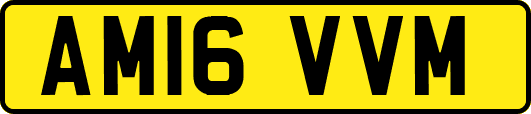 AM16VVM