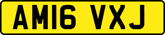 AM16VXJ