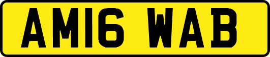 AM16WAB