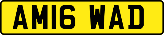 AM16WAD