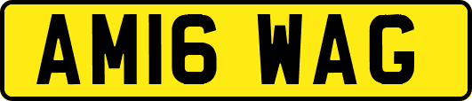 AM16WAG