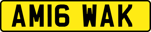 AM16WAK