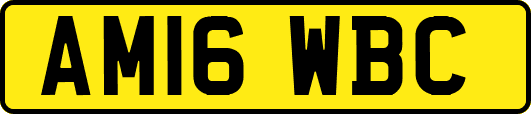 AM16WBC