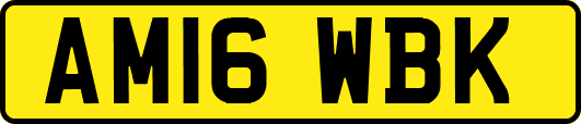 AM16WBK