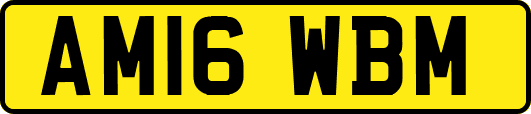 AM16WBM