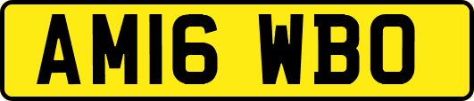 AM16WBO