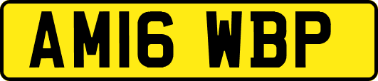 AM16WBP