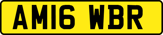 AM16WBR