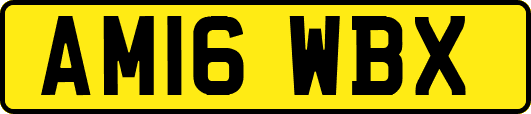AM16WBX