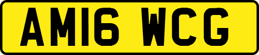 AM16WCG