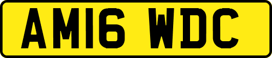 AM16WDC