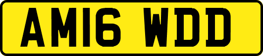 AM16WDD