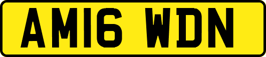AM16WDN