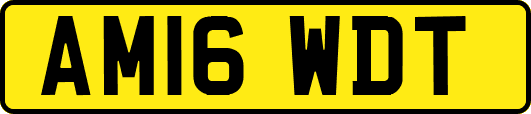 AM16WDT