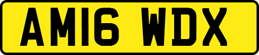 AM16WDX