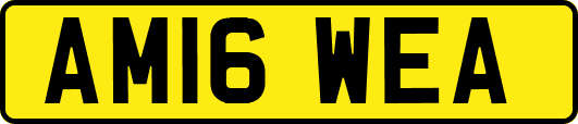 AM16WEA