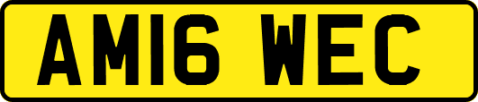 AM16WEC