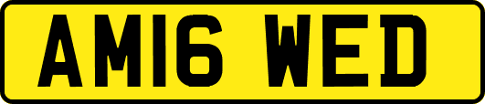 AM16WED
