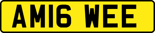 AM16WEE