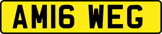 AM16WEG