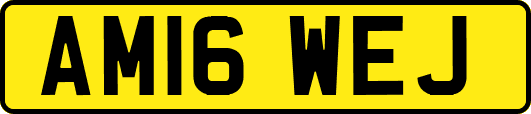 AM16WEJ