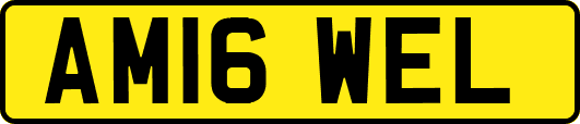 AM16WEL