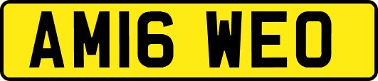 AM16WEO